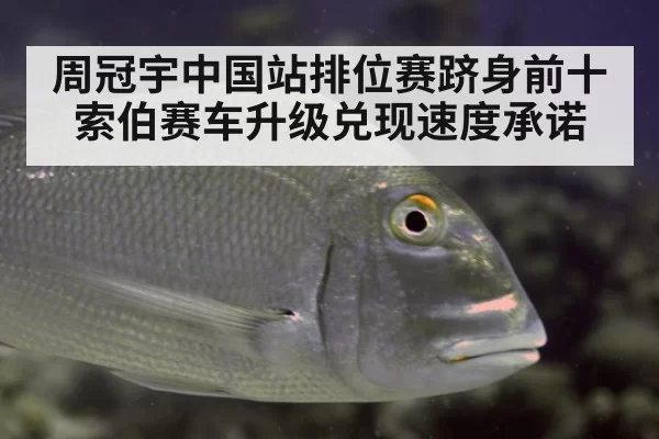 周冠宇中国站排位赛跻身前十 索伯赛车升级兑现速度承诺